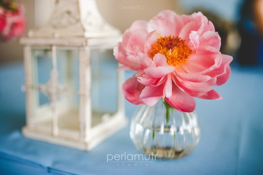 Классика, Шебби шик, Весенняя / Летняя в Ресторан / Банкетный зал от Студия декора и флористики Perlamutr studio 7