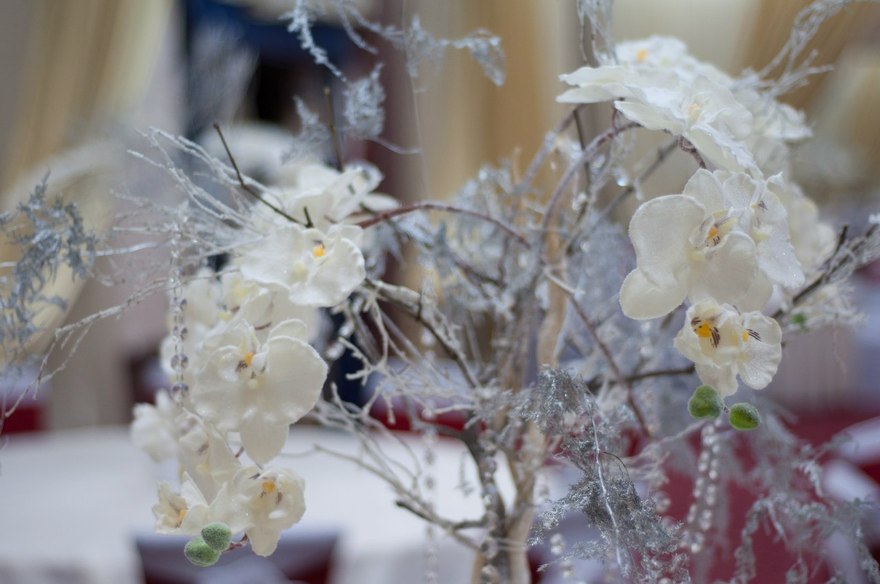 Зимняя в Ресторан / Банкетный зал от Студия декора FinnArt 14