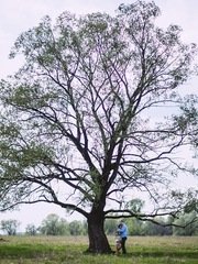 Фотоотчет Love story Димы и Наташи от Юлия Черных 2