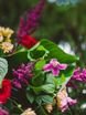 Шебби шик, Винтаж / Ретро в Выездная регистрация, Природа от Студия декора Magicweddings 5