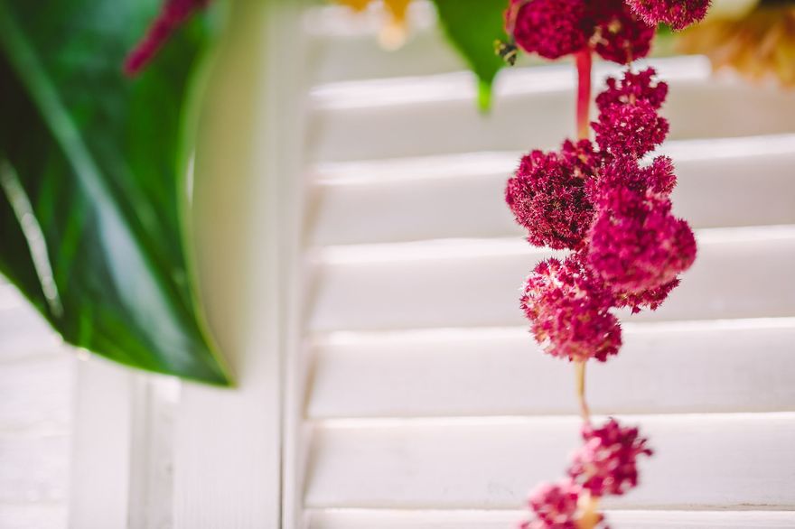 Шебби шик, Винтаж / Ретро в Выездная регистрация, Природа от Студия декора Magicweddings 8