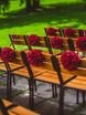 Шебби шик, Винтаж / Ретро в Выездная регистрация, Природа от Студия декора Magicweddings 9