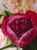Шебби шик, Винтаж / Ретро в Выездная регистрация, Природа от Студия декора Magicweddings 11