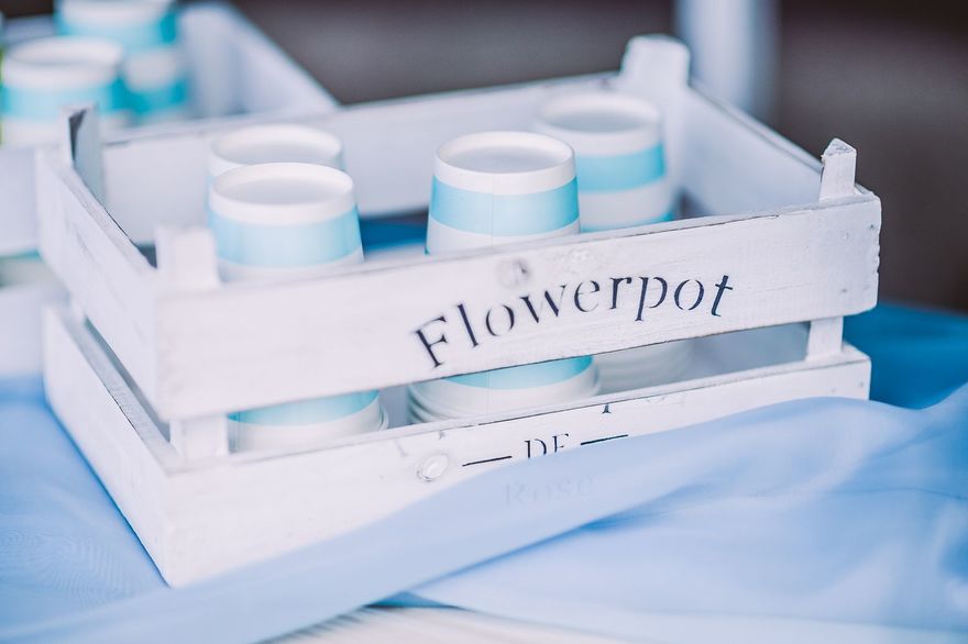 Тематический, Весенняя / Летняя в Выездная регистрация, Природа от Студия декора Magicweddings 9