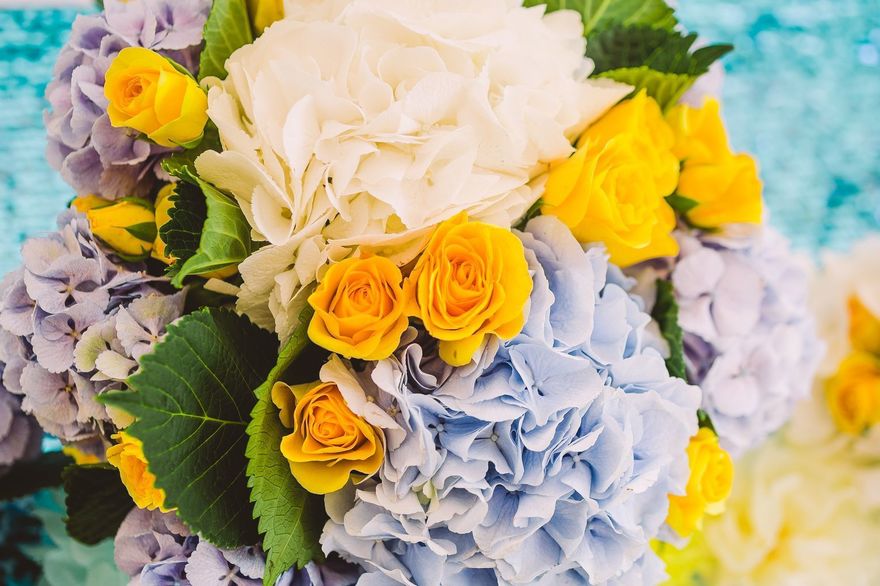 Тематический, Весенняя / Летняя в Выездная регистрация, Природа от Студия декора Magicweddings 14