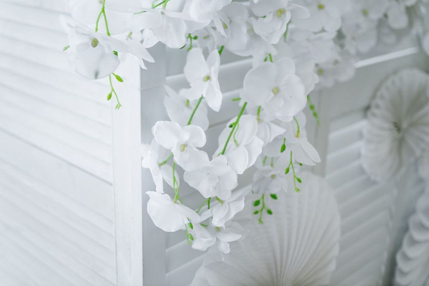 Классика в Выездная регистрация, Ресторан / Банкетный зал от Студия декора Magicweddings 5