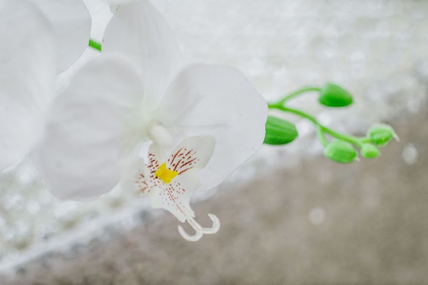 Классика в Выездная регистрация, Ресторан / Банкетный зал от Студия декора Magicweddings 8