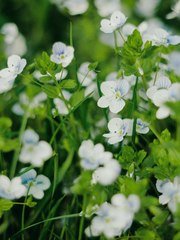 Фотоотчет со свадьбы Алексея и Елены от Творческая студия 7wed.pro 1