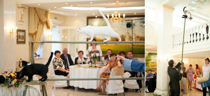 Свадьба Дмитрия и Марии, Средневековая сказка от Свадебное агентство Подкова 10