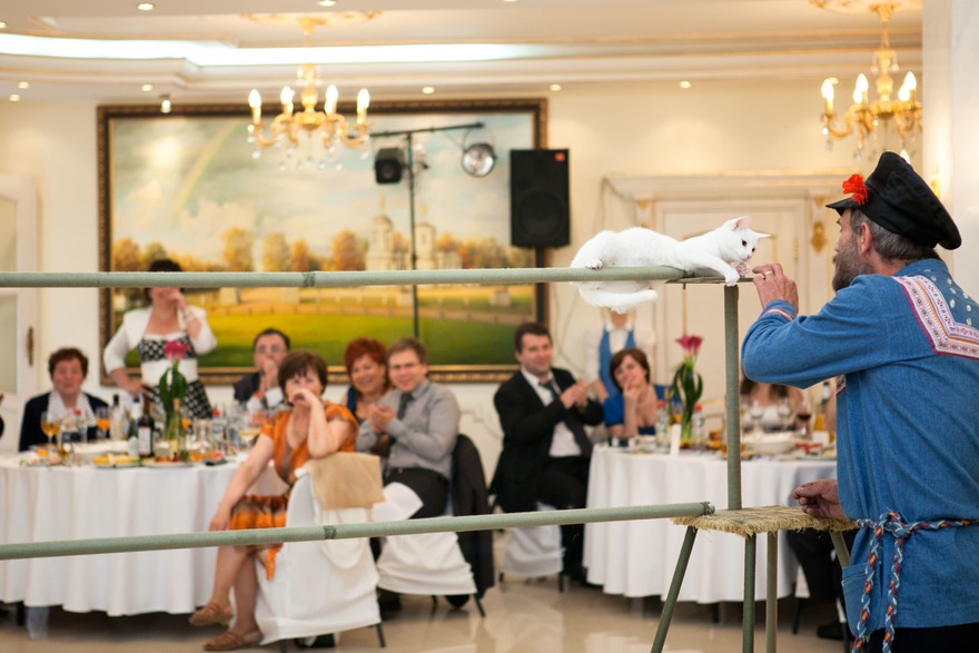 Свадьба Дмитрия и Марии, Средневековая сказка от Свадебное агентство Подкова 11