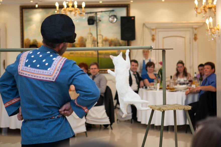 Свадьба Дмитрия и Марии, Средневековая сказка от Свадебное агентство Подкова 12