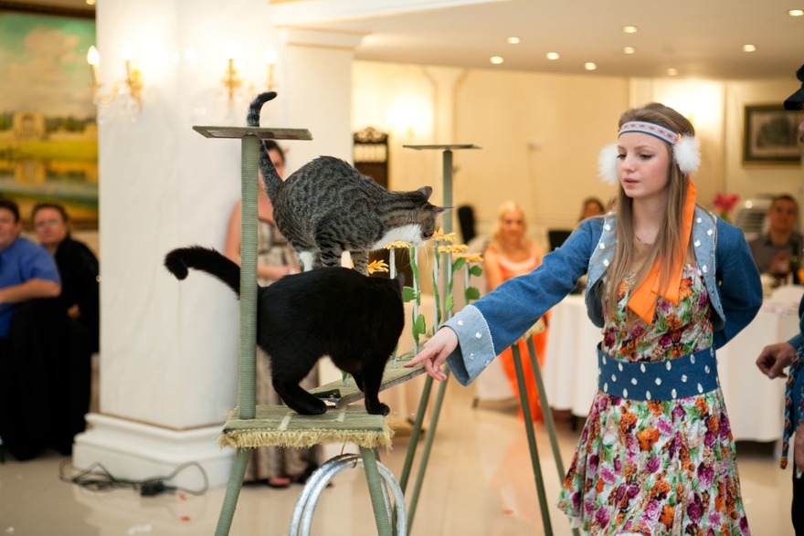 Свадьба Дмитрия и Марии, Средневековая сказка от Свадебное агентство Подкова 13