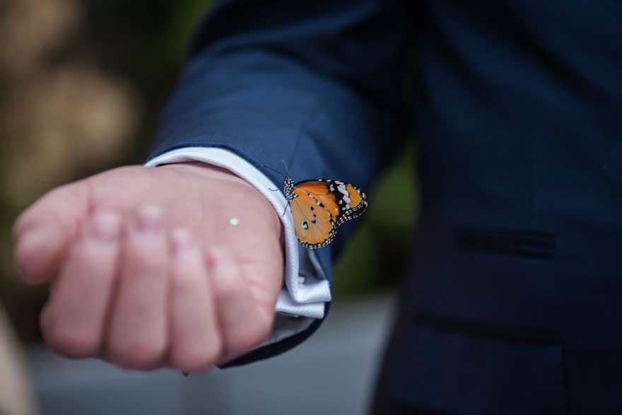 Англо-русская свадьба Саймона и Дарьи от Свадебное агентство Подкова 11