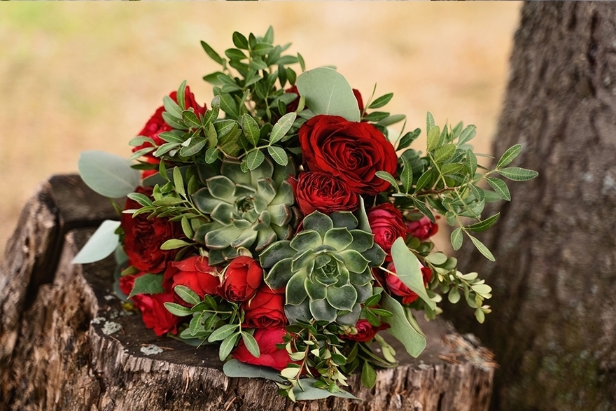 Яблочная свадьба Александра и Анны от Свадебное агентство Подкова 3