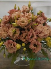 Раскидистый / Растрёпыш name от  1