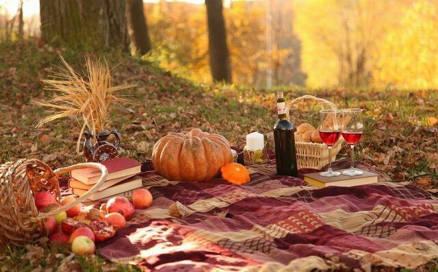 Шебби шик, Рустик, Осенняя в Выездная регистрация, На веранде, Природа, Ресторан / Банкетный зал от Студия декора и флористики Эндорфин 9