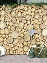 Весенняя / Летняя, Рустик в Выездная регистрация, Шатер, На веранде, Природа от Студия декора и флористики Эндорфин 2