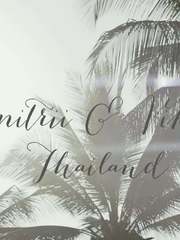 Видеоотчет со свадьбы Дмитрия и Виктории от Dreamwood 1