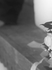 Отчет со свадьбы Андрея и Ольги от Сергей Кузин 1