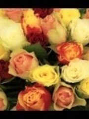 Видеоотчет со свадьбы 11 от Дмитрий Карпов 1