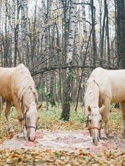 Фотоотчет со свадьбы 15 от Warmphoto 2