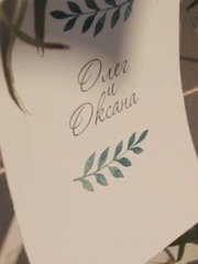 Видеоотчет со свадьбы 28 от Денис Зотов 1