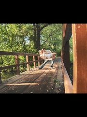 Видеоотчет со свадьбы Кристины и Сергея от Милош Божич 1