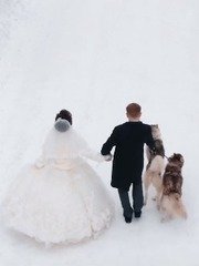 Видеоотчет со свадьбы 41 от  1