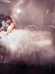 Фотоотчет со свадьбы Варвары и Игоря от Дмитрий Усанин 2