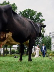 Фотоотчет со свадьбы Софьи и Антона от Сергей Ломанов 2