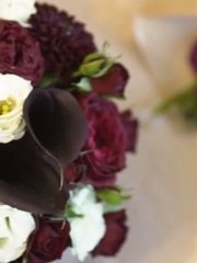 Видеоотчет со свадьбы Владимира и Анастасии от Мхитар Минасян 1