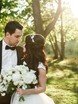 Отчеты с разных свадеб 4 от Исключительно свадебное агентство Family 7