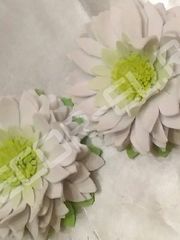 Фотозона в Шебби шик, Осенняя от  1