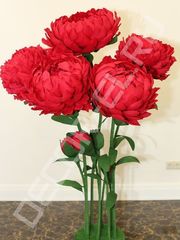 Фотозона в Шебби шик, Классика, Модерн, Прованс от  1