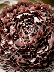 Фотозона в Шебби шик, Классика, Модерн, Прованс от  2