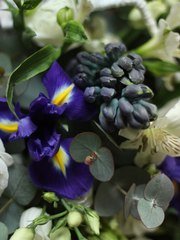 Классический круглый, Раскидистый / Растрёпыш name от  1