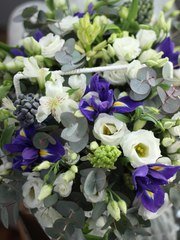 Классический круглый, Раскидистый / Растрёпыш name от  2