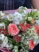 Классический круглый, Раскидистый / Растрёпыш name от  1