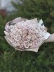 Классический круглый, Монобукет из одного вида цветов name от  1
