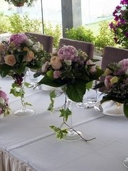 Столы и стулья гостей / Банкет в Весенняя / Летняя, Тематический от  1