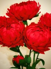 Фотозона в Шебби шик, Классика от  1