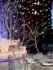 Фотозона в Классика от Студия декора и флористики Secret Garden Decor 1