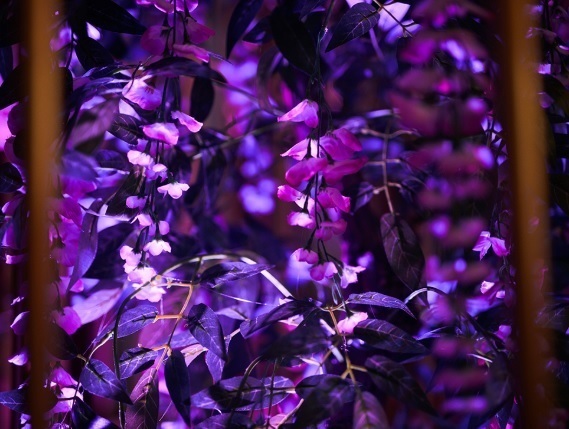 Сад самоцветов от Свадебное агентство Artrooms 8