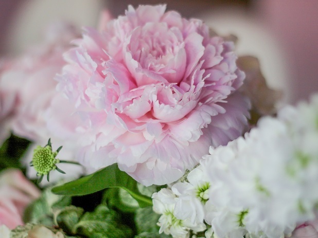 Пионовый зефир от Свадебное агентство Artrooms 4