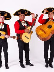 Кавер-группа LATINOexpress на свадьбу 1