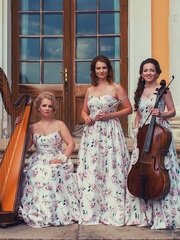 Музыкальный проект ArtFlute на свадьбу 1