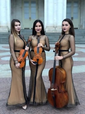 Verona Violin show на свадьбу 1