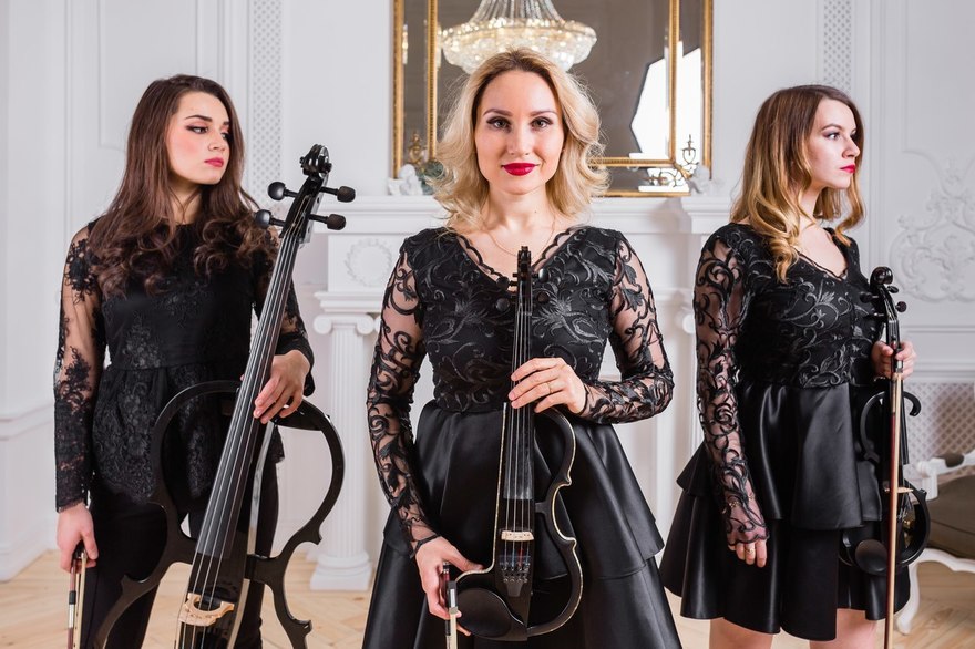 Verona Violin show на свадьбу 7