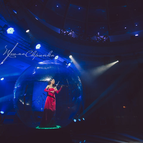 Прима Скрипка на свадьбу 13