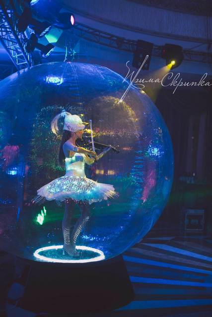 Прима Скрипка на свадьбу 14